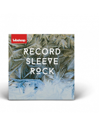 Record Sleeve 12" - 315x0x312mm